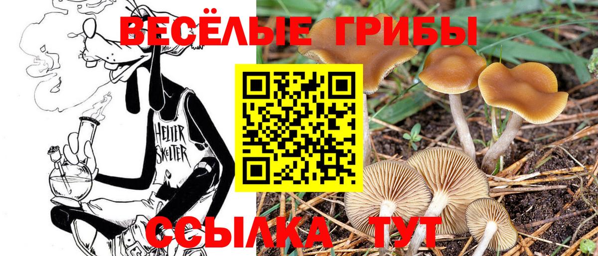 Псилоцибиновые грибы мицелий  Вход с VPN  Вышний Волочёк 