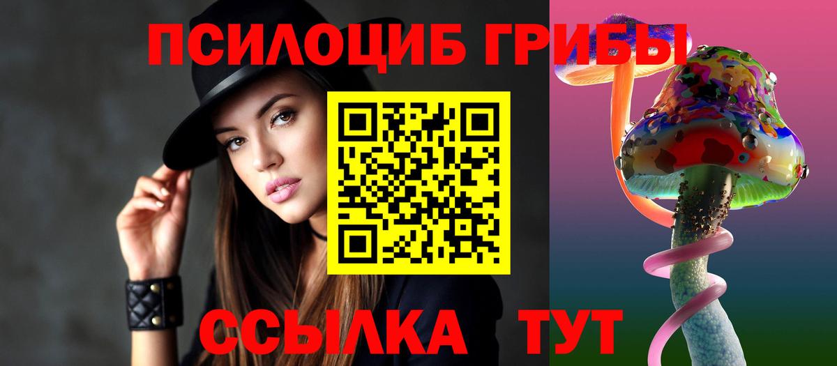 Псилоцибиновые грибы Cubensis Вышний Волочёк